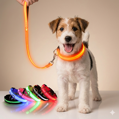 Glow-in-the-Dark Safety Leash