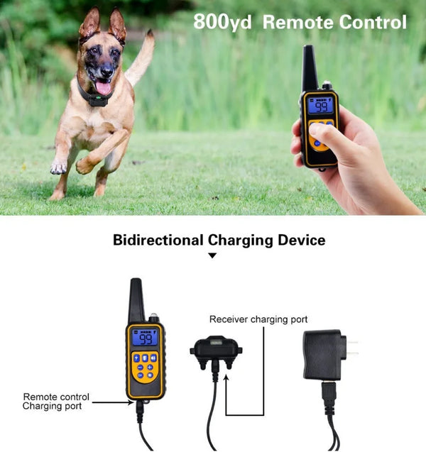Smart Dog Training Collar