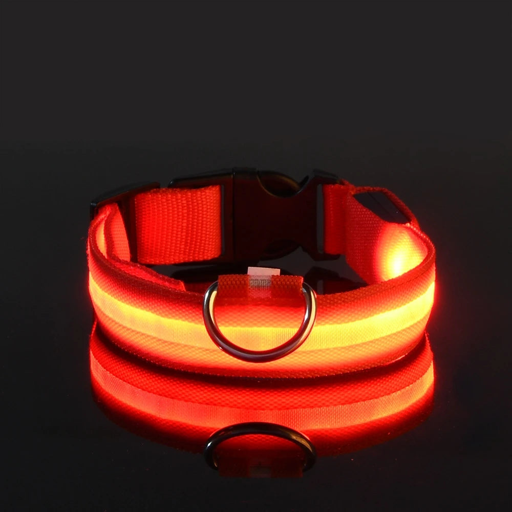 Premium LED Glow-in-the-Dark Safety Dog Leash.