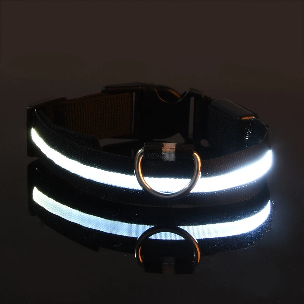 Premium LED Glow-in-the-Dark Safety Dog Leash.