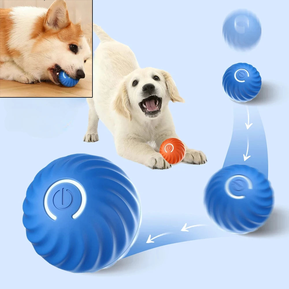 Smart Interactive Rolling Ball for Dogs & Cats | Automatic Moving & Bouncing Toy | USB Rechargeable.