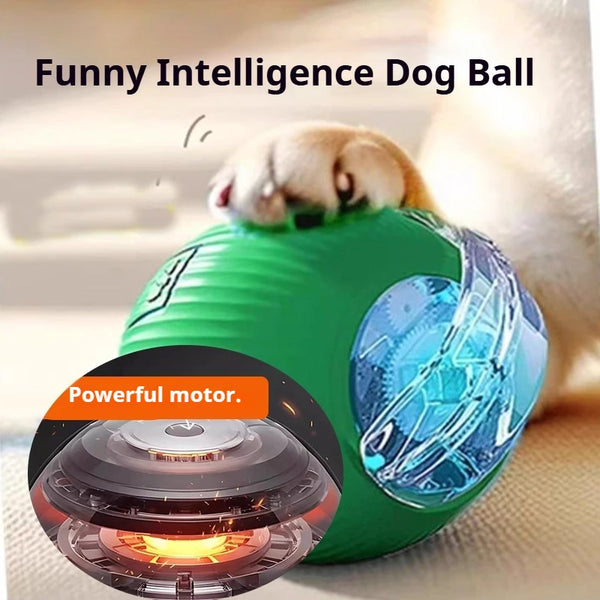 Interactive Pet Play Ball