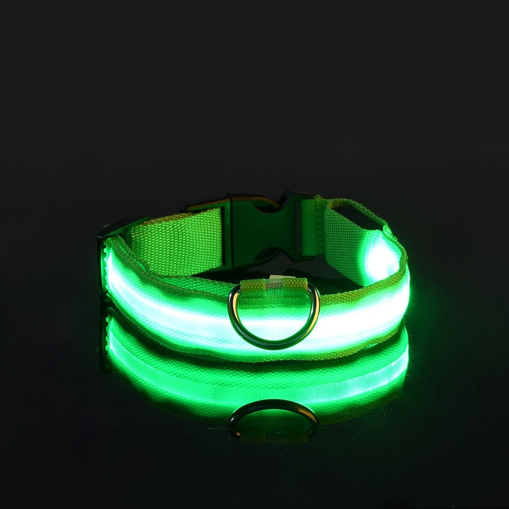 Premium LED Glow-in-the-Dark Safety Dog Leash.