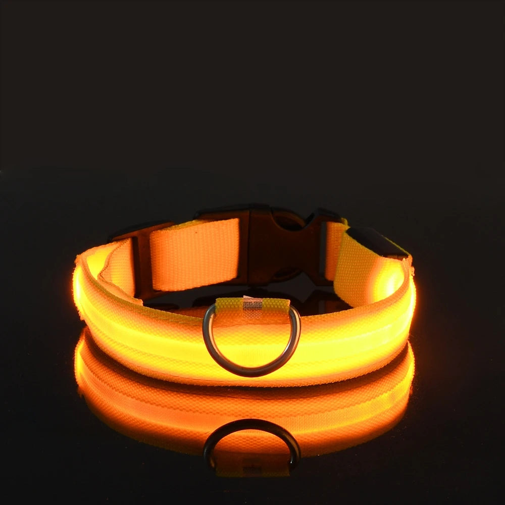 Premium LED Glow-in-the-Dark Safety Dog Leash.