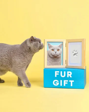 Clean-Touch Paw Print Ink Pad Kit | Mess-Free Pet Keepsake & DIY Impression Kit for Dogs and Cats.