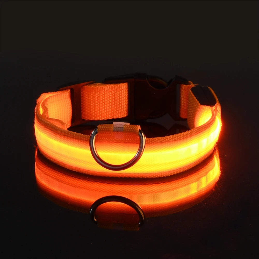 Premium LED Glow-in-the-Dark Safety Dog Leash.