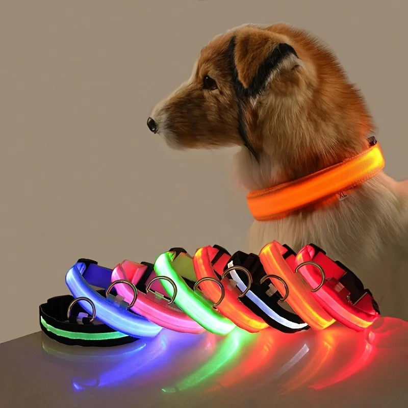 Premium LED Glow-in-the-Dark Safety Dog Leash.