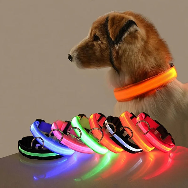 Glow-in-the-Dark Safety Leash