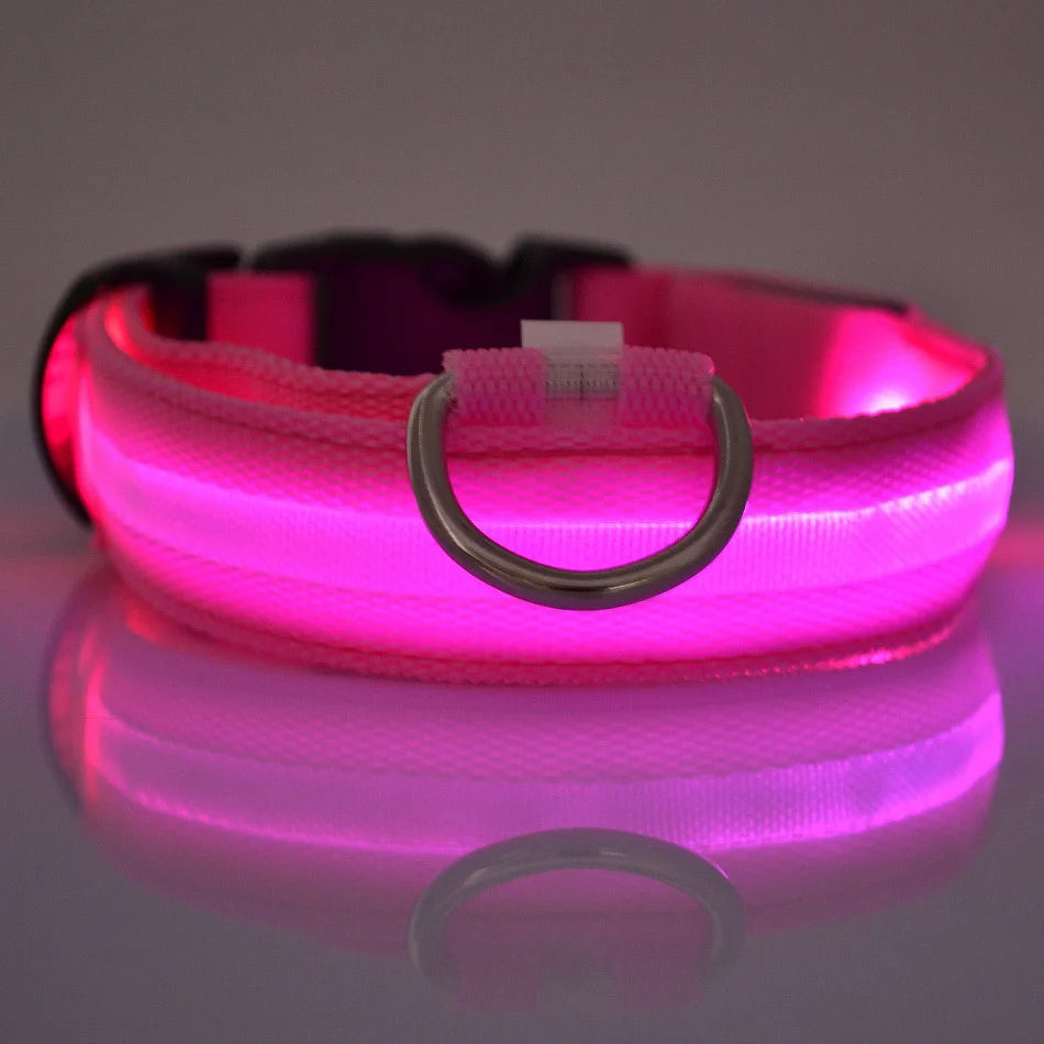 Premium LED Glow-in-the-Dark Safety Dog Leash.