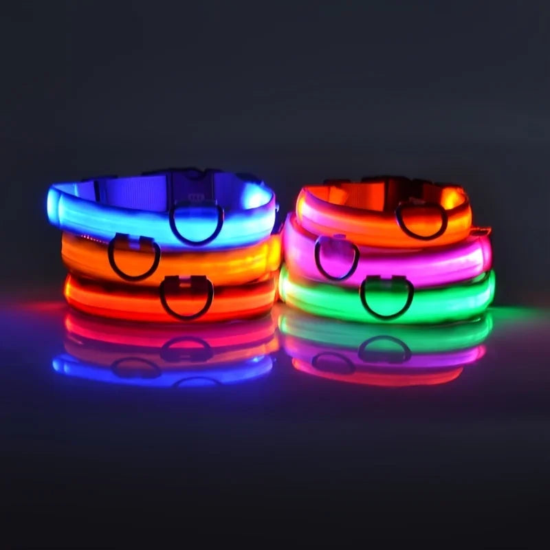 Premium LED Glow-in-the-Dark Safety Dog Leash.