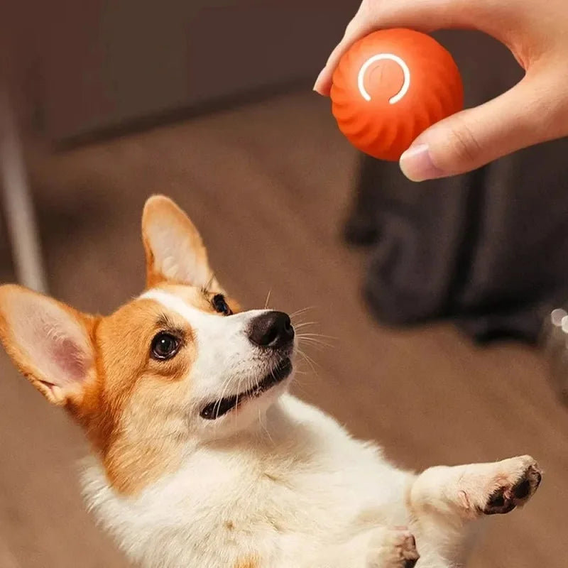 Smart Interactive Rolling Ball for Dogs & Cats | Automatic Moving & Bouncing Toy | USB Rechargeable.
