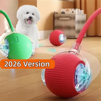 Interactive Pet Play Ball 2026